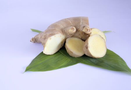 ginger (Zingiber officinale) is a flowering plant whose rhizome, ginger root or ginger, is widely used as a spice and folk medicine.の写真素材