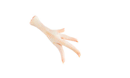 Raw chicken legs isolated on the white background.の写真素材