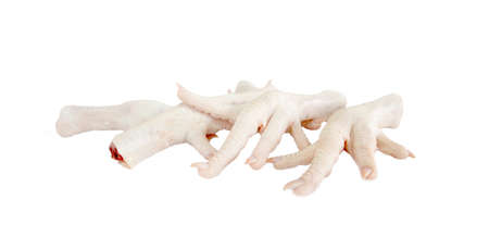 Raw chicken legs isolated on the white background.の写真素材
