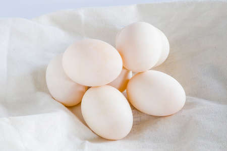 group of fresh white duck eggs on white background.の写真素材