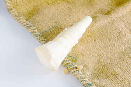 Bamboo shoots are considered as one of the useful health foods because of their rich contents of proteins, carbohydrates, vitamins, fibres, and mineralsの写真素材