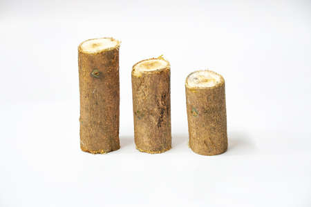 hardwood log isolated on a white background