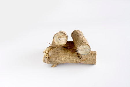 Firewood tree for heating. on white background. Studio photo.の写真素材
