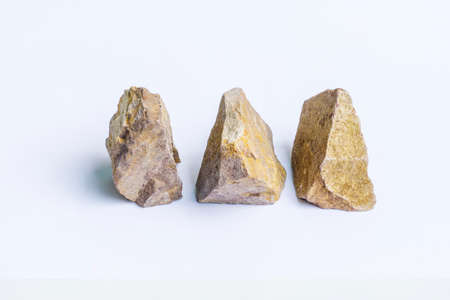 Natural specimen of foraminiferal limestone - organogenic sedimentary rock, reliefs, carvings and sculpture, on white background.の写真素材