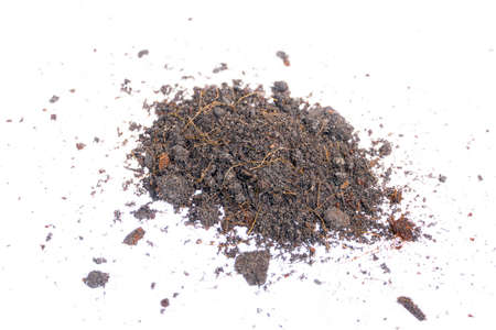 Soil mix ready for planting isolated on white background