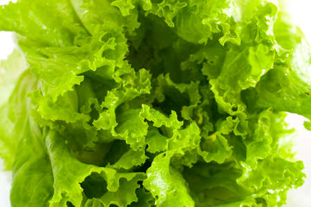 Asian spices dried garlic, isolated on a white backgroundの写真素材