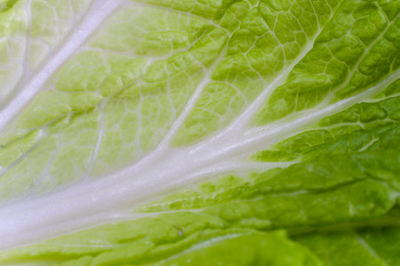 Asian spices dried garlic, isolated on a white backgroundの写真素材
