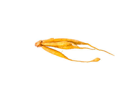 Organic Collard greens vegetable cabbage nutrition salad on a white background.の写真素材