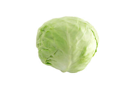 Organic Collard greens vegetable cabbage nutrition salad on a white background.の写真素材