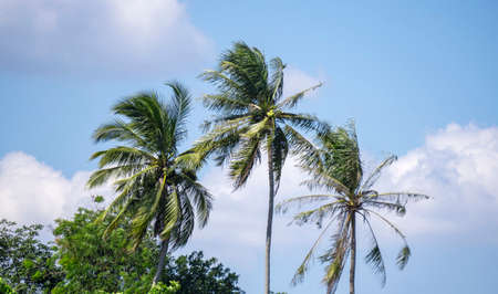 Cable Spacer On Blue Skyの写真素材