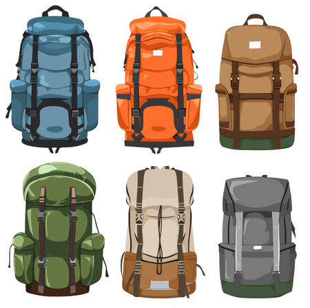 Set of different types of backpack isolated on white background. Vector illustration.のイラスト素材