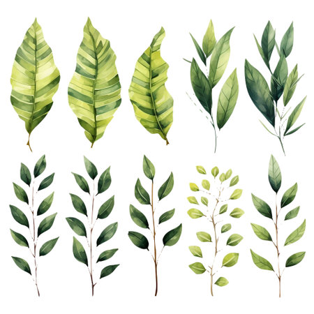 Set of watercolor green leaves isolated on white background. Vector illustration.の写真素材