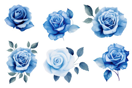 Set of blue rose flowers isolated on white background. Vector illustration.の写真素材
