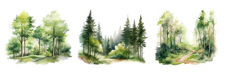 Watercolor forest set. Hand drawn illustration isolated on white background.の写真素材