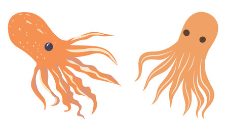 Octopus on a white background. Vector illustration in flat style.のイラスト素材