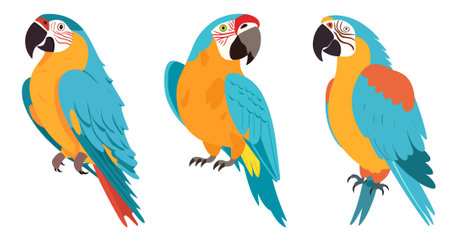 Set of colorful parrots. Vector illustration isolated on white background.のイラスト素材