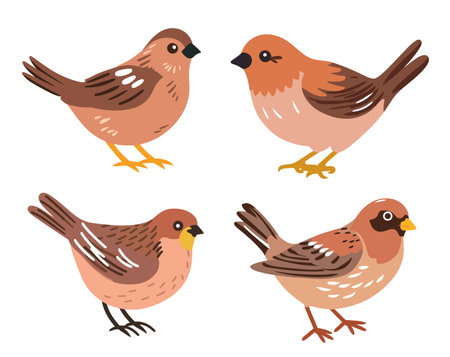 Set of cute birds isolated on white background. Vector illustration in cartoon style.のイラスト素材