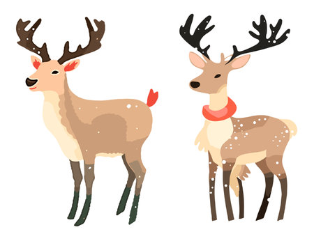 Reindeer vector illustration. Cute cartoon deer isolated on white background.のイラスト素材