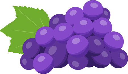 Grapes are a great addition to wine. Use this image in your next design.のイラスト素材