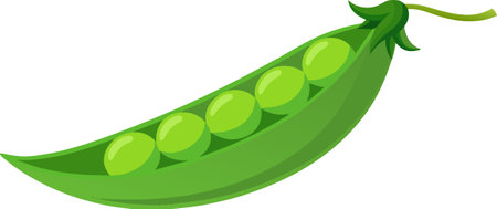 Use this peas image for your next design. They will love it!のイラスト素材