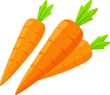 Isolated orange carrot vector illustrationのイラスト素材