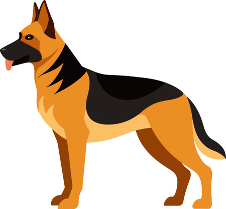 Illustration of a German Shepherd standing isolated on a white background.のイラスト素材