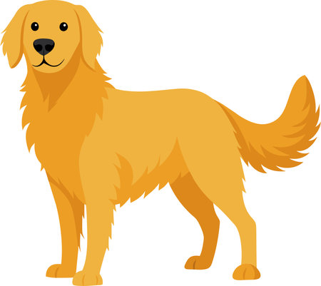 Illustration of a Golden Retriever standing on isolated white backgroundのイラスト素材