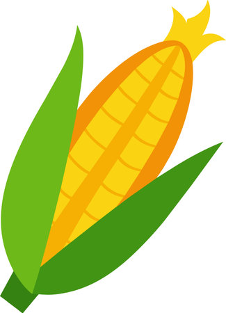 Corn icon. Vector illustration of a corn on a white background.のイラスト素材