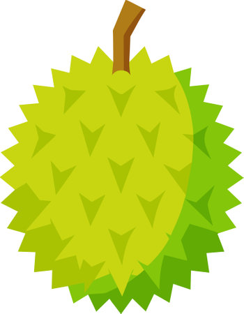 Hand drawn flat vector durian illustrationのイラスト素材