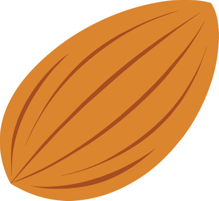 hand drawn almond flat vector illustrationのイラスト素材