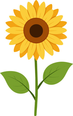 Vector sunflower plant flat art design illustrationのイラスト素材