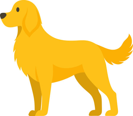 simplified flat art illustration image of Golden Retrieverのイラスト素材