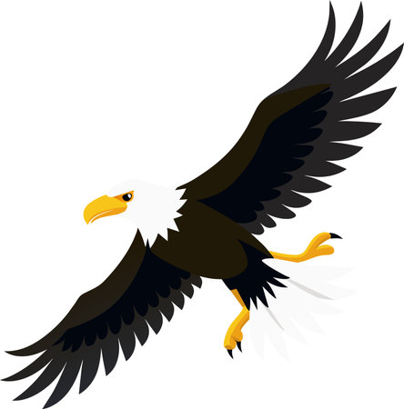 Eagle in flight. Vector illustration isolated on a white background.のイラスト素材