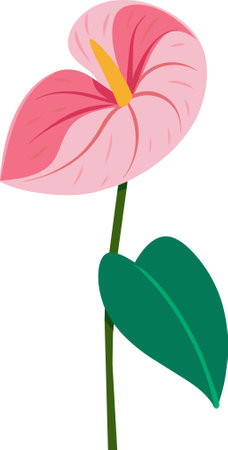 Use this image of anthurium flower in your next design.のイラスト素材