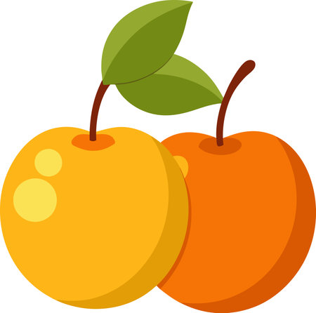 two mirabelles illustration flat designのイラスト素材