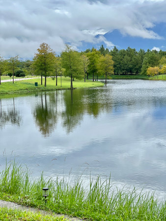 Pond with green grass and blue sky with clouds in a parkの写真素材