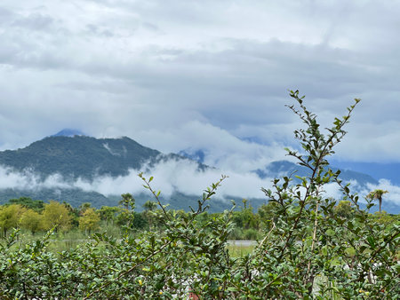 Landscape of green forest and mountain under cloudy sky, Thailand.の写真素材