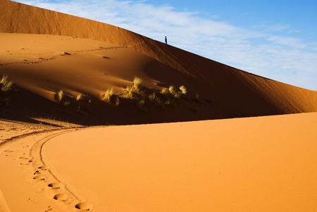 dunes of Sahara desertの写真素材