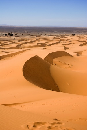 dunes of sandの写真素材