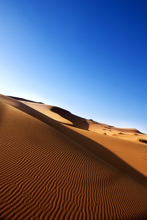 pattern of sandの写真素材