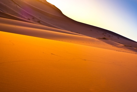 dunes of desertの写真素材