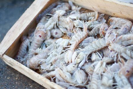 sea food, raw prawn の写真素材