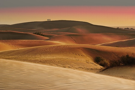 sunset on the Thar desert in Indiaの写真素材