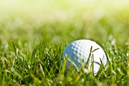 golf ball in grassの写真素材