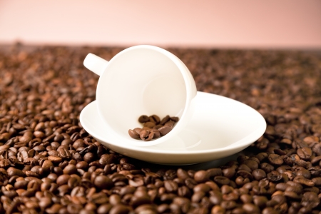 fresh coffee beansの写真素材