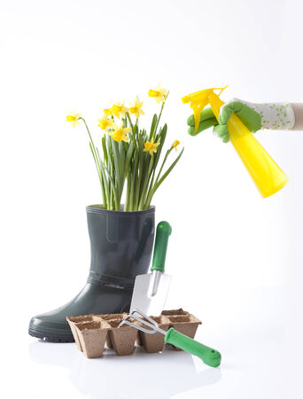 spring gardeningの写真素材