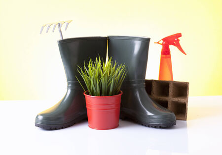  garden boots and toolsの写真素材