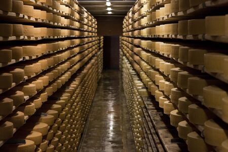 gruyère cheese, Cheese production cellar. Hard cheeses. Cheese heads on wooden shelvesの写真素材