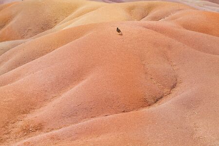 Spectacular view of Chamarel Colored Earths's sand dunes in south-western Mauritius