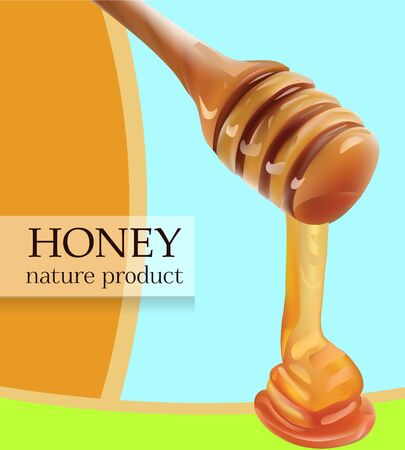 Vector Pouring Honey From Wooden Stick Realistic illustration. Card, Poster, Shop, Advertisement Template.のイラスト素材